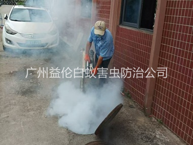 獅嶺環(huán)境蟑螂消殺工程