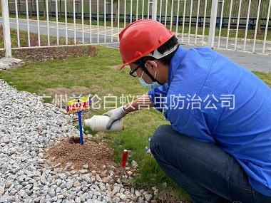 新華紅火蟻防治工程